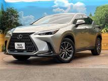 2025 Lexus NX