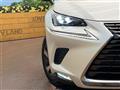 2018 Lexus NX
