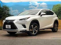2018 Lexus NX