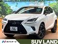 2020 Lexus NX