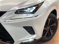 2020 Lexus NX