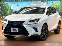 2020 Lexus NX
