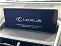 2020 Lexus NX