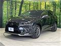 2020 Lexus NX
