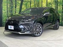 2020 Lexus NX