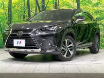 2019 Lexus NX