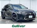 2021 Lexus UX