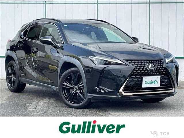 2021 Lexus UX
