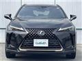 2021 Lexus UX