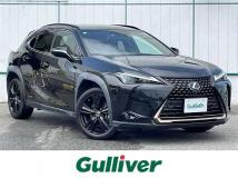 2021 Lexus UX