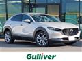 2022 Mazda CX-3