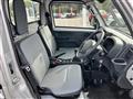 2021 Suzuki Carry Truck