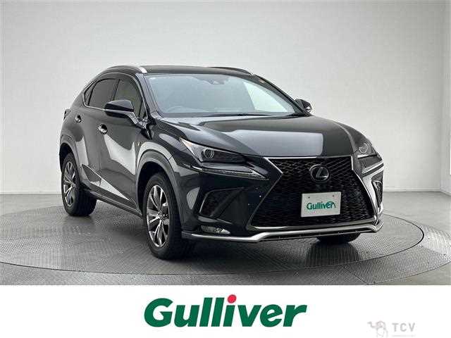 2019 Lexus NX