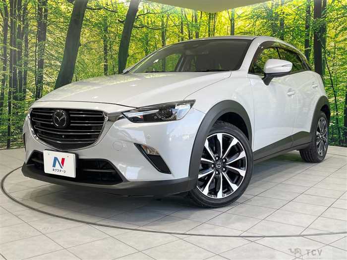 2019 Mazda CX-3