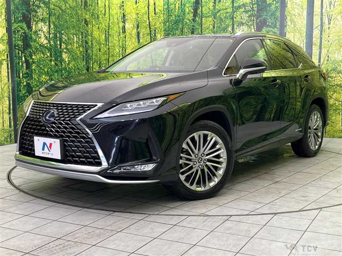 2019 Lexus RX