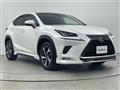 2018 Lexus NX