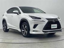 2018 Lexus NX