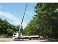 2011 Hino Hino Others