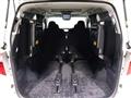 2010 Toyota Alphard G