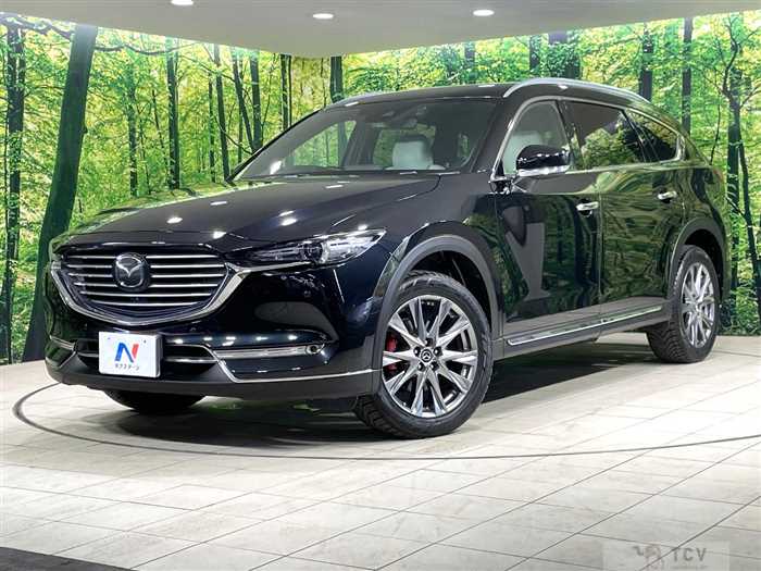 2018 Mazda CX-8