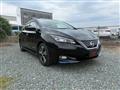 2017 Nissan Nissan Others