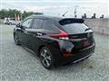 2017 Nissan Nissan Others