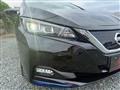 2017 Nissan Nissan Others