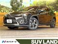 2020 Lexus Other