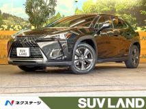 2020 Lexus Other