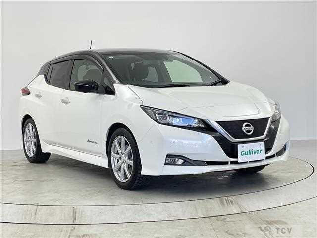 2019 Nissan Leaf