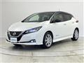 2019 Nissan Leaf