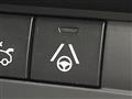 2019 Citroen Citroen Others