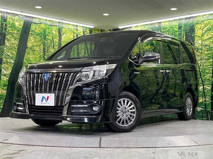 2016 Toyota Esquire