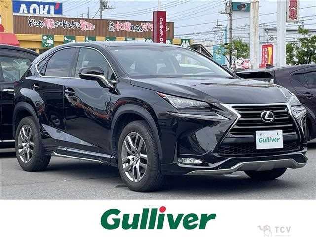 2015 Lexus NX