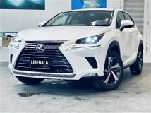 2018 Lexus NX