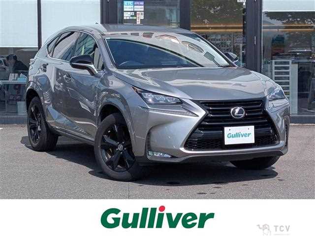 2017 Lexus NX