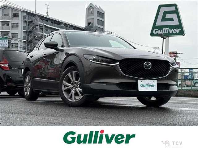 2019 Mazda CX-3