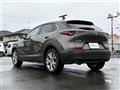 2019 Mazda CX-3