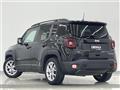 2021 Chrysler Renegade