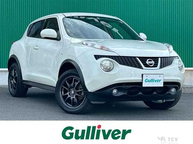 2010 Nissan Juke