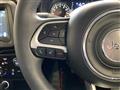 2020 Chrysler Renegade