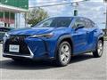 2020 Lexus UX