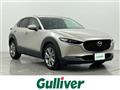 2022 Mazda CX-3