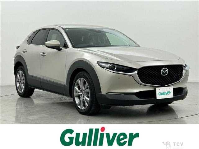 2022 Mazda CX-3