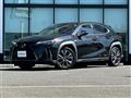 2019 Lexus UX