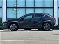 2019 Lexus UX
