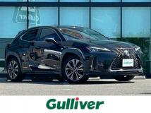 2019 Lexus UX