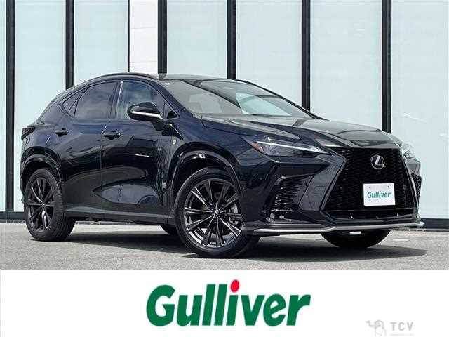 2024 Lexus NX