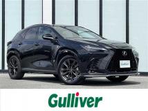 2024 Lexus NX