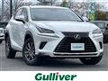 2018 Lexus NX